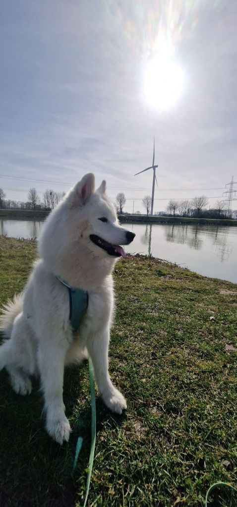 20260306_1407346271011591489663841